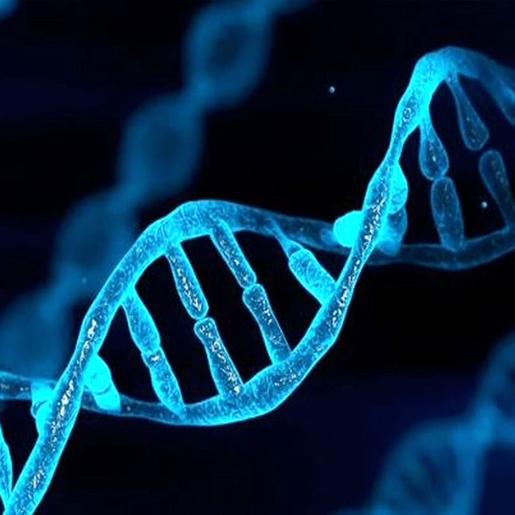 ذخیره‌سازی مبتنی بر DNA