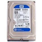wd 250 gb blue-pic3