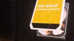 wd 10 tb gold-pic1-