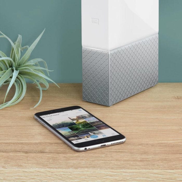 هارد وسترن دیجیتال My Cloud Home