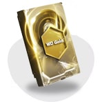وسترن دیجیتال گلد