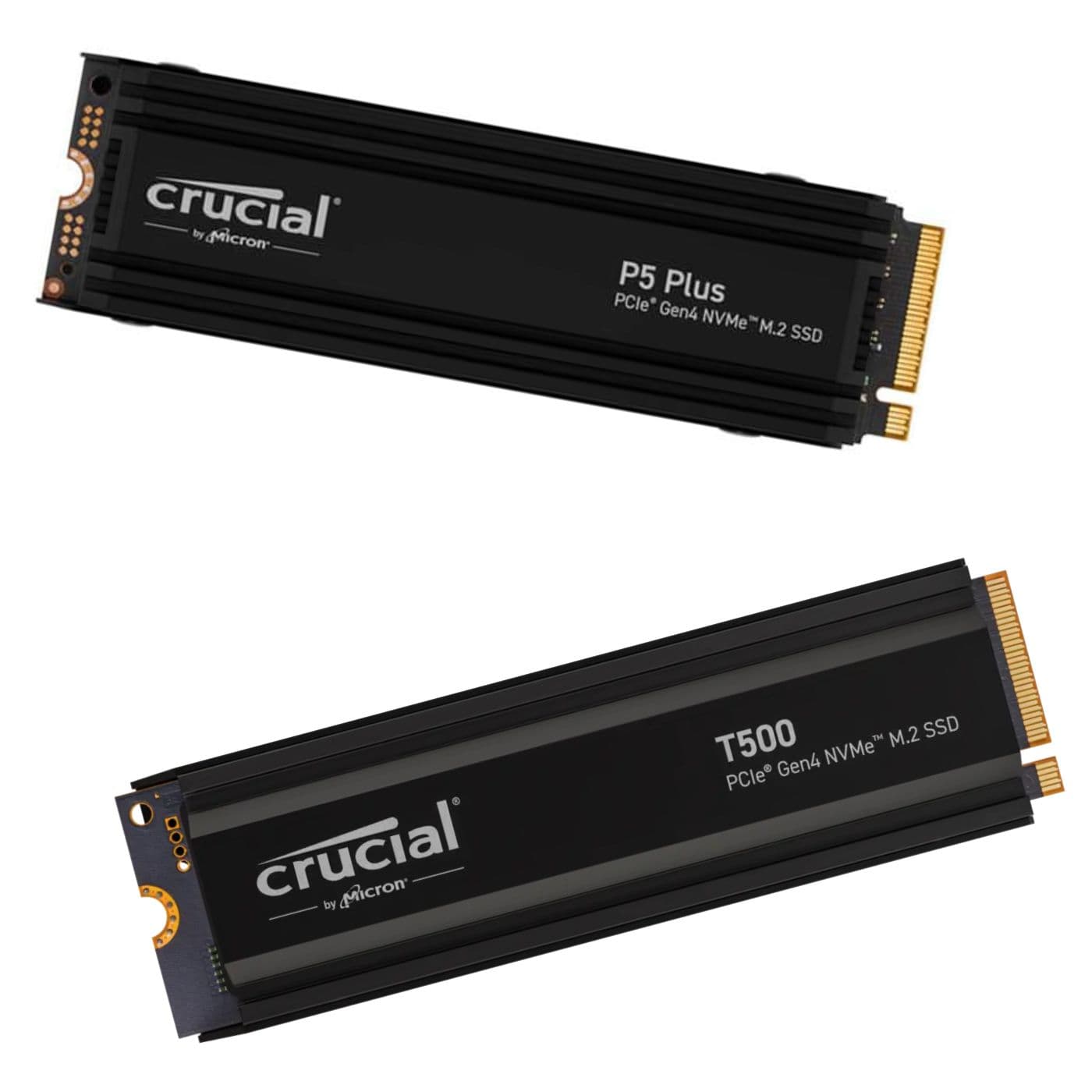 اس اس دی Crucial